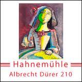 Hahnemühle Albrecht Dürer 210 g/m², 12 m x 111,8 cm