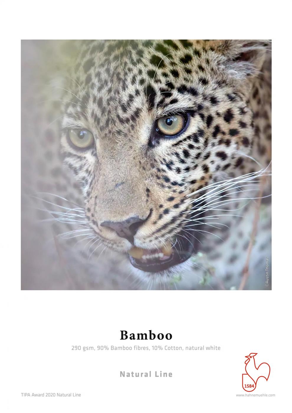 Hahnemühle Bamboo 290 g/m², 12 m x 61,0 cm